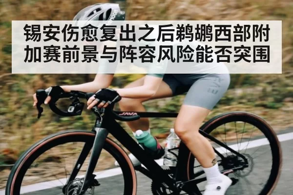 锡安伤愈复出之后鹈鹕西部附加赛前景与阵容风险能否突围